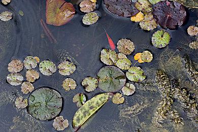 《核心守护者》PS4、PS5及 NS亚洲实体版本将延期至9月17日正式发售